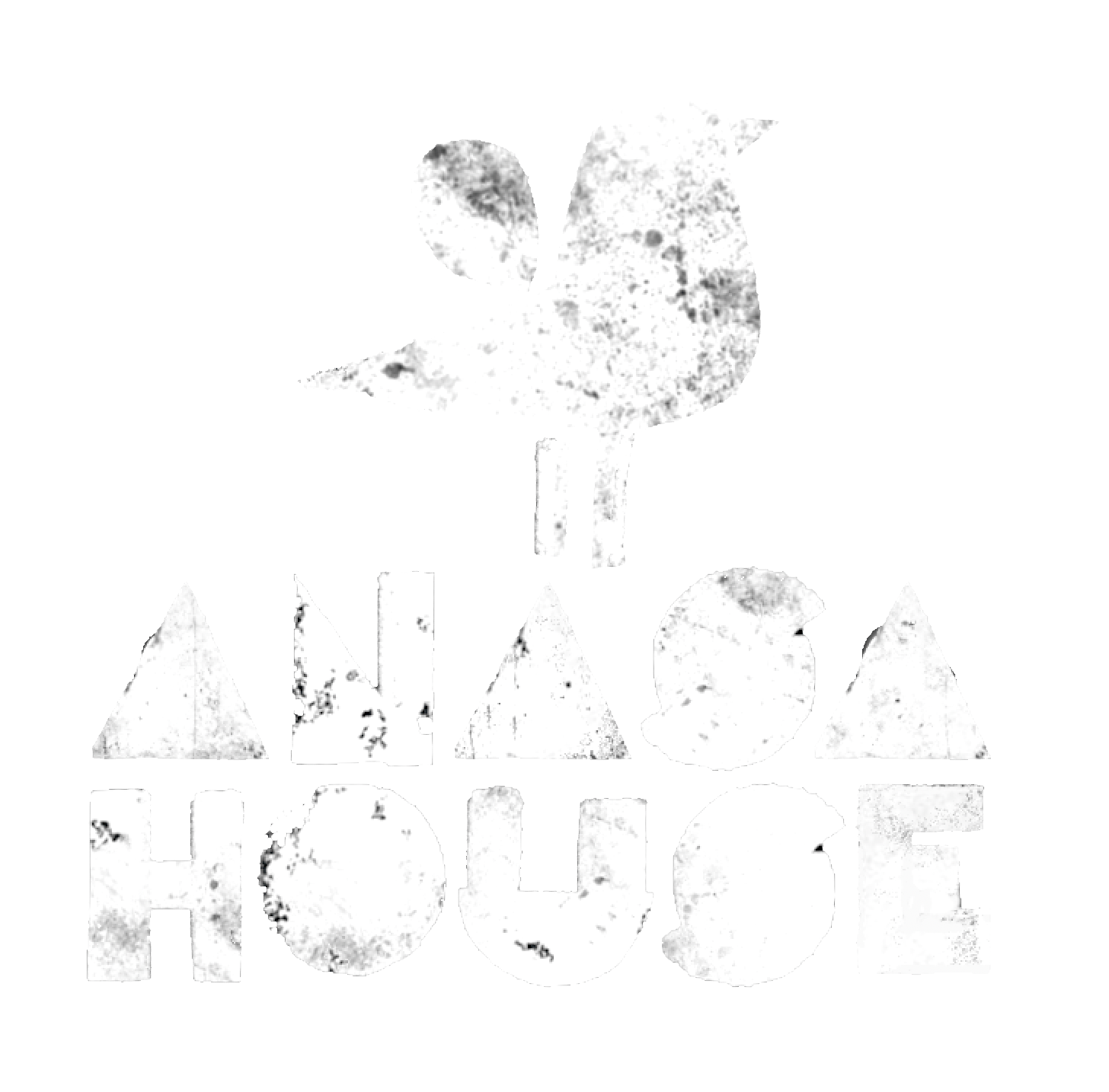 Anasa House